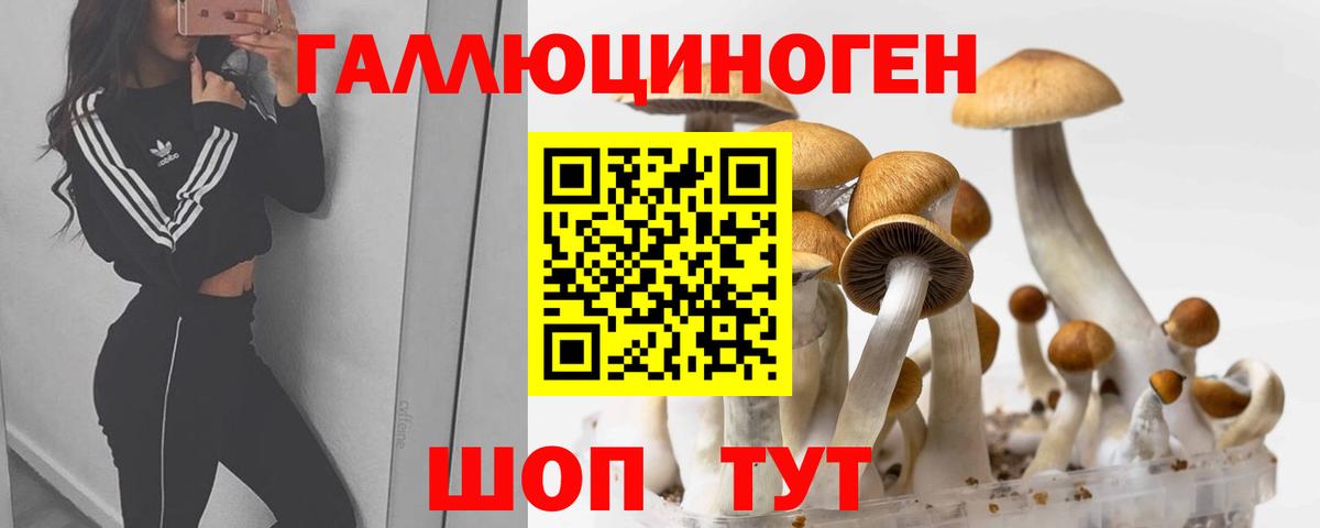 Галлюциногенные грибы мухоморы  Вход с VPN  Пугачёв 